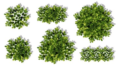 green grass isolated on white,set of watercolor tree top view for landscape plan and architecture layout 