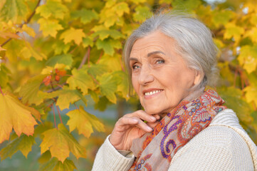 Close up portrait of happy senior woman in autumn park