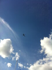 Helicopter