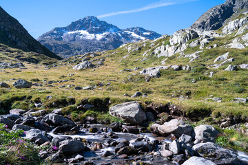 in der Schweiz großer sankt Bernhard im Sommer