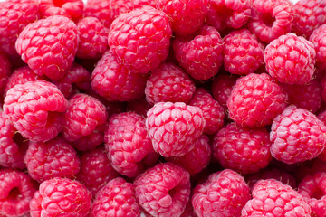 Raspberry fruit background. Summer mood.