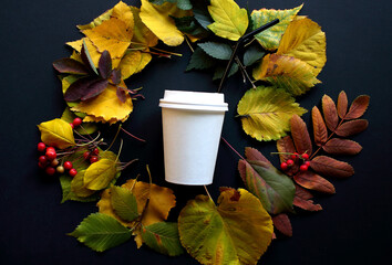 A Cup of coffee. Autumn decoration. Colorful leaves on a black background.