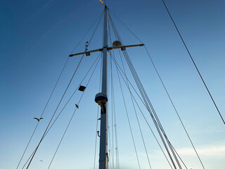 Fototapeta premium Upright view of rigging mast and ropes of a sailing boat under a blue sky