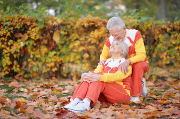 Fototapeta premium Portrait of happy senior couple in autumn park