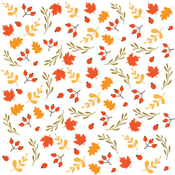 pattern autunnale