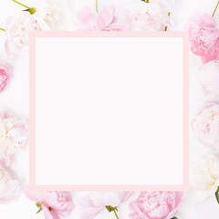 Fototapeta na wymiar Romantic banner, delicate pink peonies flowers close-up. Fragrant pink petals