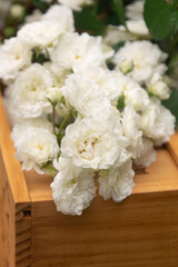 Wooden box with white small roses, made in the garden style. Gift bouquet. Wedding decorations.