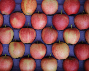 ripe red apple on background