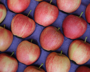 ripe red apple on background