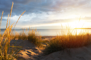 Beach view from the path sand between the dunes. Stunning inspirational sunset image with glowing sun beams and grassy sand dunes.
