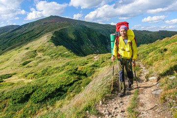 Obraz premium A sports man with a large backpack and trekking poles in his hands walks along a mountain trail in the Carpathian Mountains. Ukraine