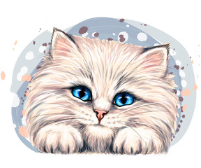 Happy fluffy kitten. Wall sticker. Color, artistic, realistic portrait of a happy, fluffy kitten in watercolor style on a white background.