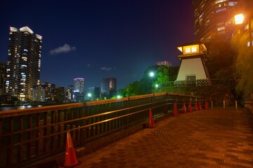 Fototapeta premium 石川島灯台夜景 住吉小橋