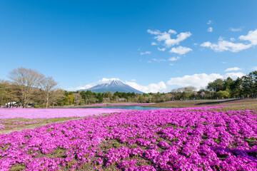  sacred Mount Fuji.