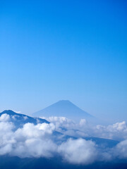 夏の美し森から眺めた早朝の富士山 山梨県北杜市