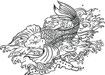 koi fish with water splash.Japanese koi carp tattoo design.