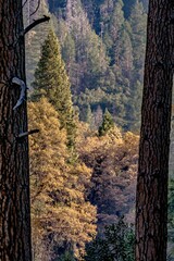 yosemite valley national park in california early morning