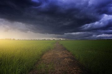 storm clouds over field