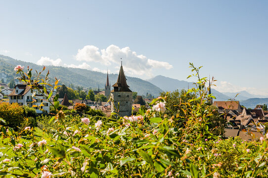 Stadt Zug, Stadt, Zug, Altstadt, Stadtmauer, Kapuzinerturm, St. Michael, Kirche, Guggi, Rosengarten, Weinberg, Altstadth&auml;user, Zugersee, Sommer, Berge, Rigi, Schweiz
