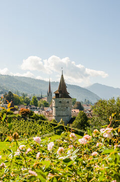 Stadt Zug, Stadt, Zug, Altstadt, Stadtmauer, Kapuzinerturm, St. Michael, Kirche, Guggi, Rosengarten, Weinberg, Altstadth&auml;user, Zugersee, Sommer, Berge, Rigi, Schweiz