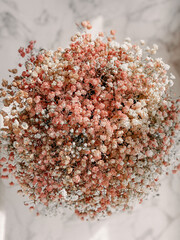 poppy seeds on wooden background