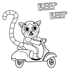 Coloring page outline of cartoon lemur on motorbike. Vector image on white background. Coloring book of transport for kids.