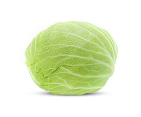 Fototapeta premium cabbage isolated on white background