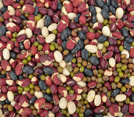 different types of beans on white background