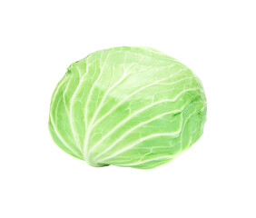 Fototapeta premium cabbage isolated on white background