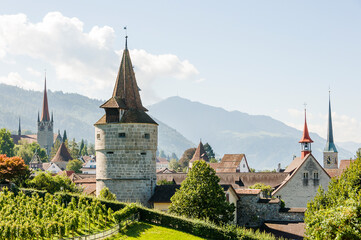 Stadt Zug, Stadt, Zug, Kapuzinerturm, Stadtmauer, St. Oswald, St. Michael, Kirche, Guggi, Rosengarten, Weinberg, Spazierweg, Altstadt, Zugerberg, Berge, Rigi, Sommer, Zentralschweiz, Schweiz