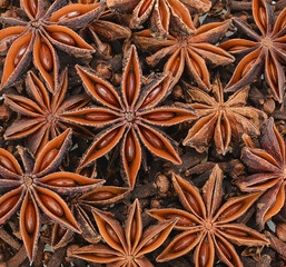 star anise spice isolated on a background