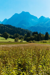 Zelenci Nature Reserve