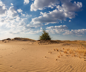 Fototapeta na wymiar Beautiful desert landscape with dunes. Walk on a sunny day on the sands.