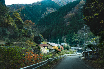 Fototapeta na wymiar 兵庫県・山深い渓谷に悠久の暮らし 