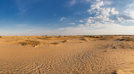 Beautiful desert landscape with dunes. Walk on a sunny day on the sands.