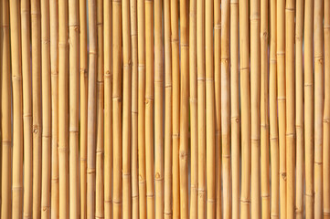Brown bamboo fence texture background, bamboo texture pattern