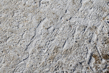 The ground is frozen with shoe tread and car tire prints.