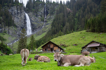Swiss idyll