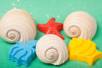 sea shells and beach toys