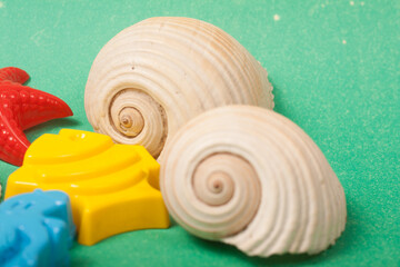 sea shells and beach toys
