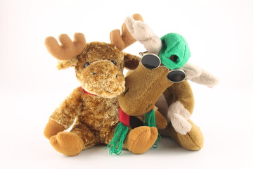 two soft toy moose, one wearing sunglasses, isolated on a white background
