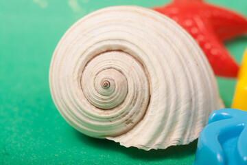 sea shells and beach toys