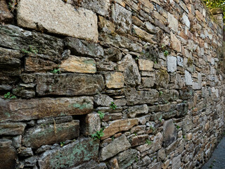 Old wall made of stones in Santiago de Compostela.
Between stones there are little plants and mosses.