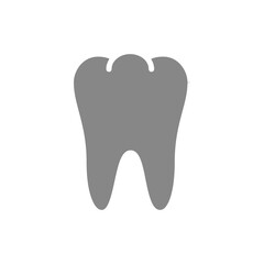 Human tooth gray icon. Healthy organ symbol