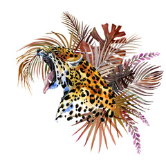 Leopard. tropical wild cat watercolor illustration. Safary wildlife fauna. jungle nature