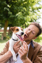 excited man with open mouth touching tongue of jack russell terrier dog in park