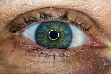 Fototapeta premium close up of eye