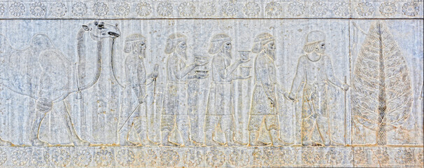 Bactrian Tribute Bearers, bas-relief  on the eastern stairway of the Apadana Palace, Persepolis, Iran 