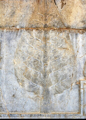 Cypress tree bas relief, detail from Apadana Palace stairway, Persepolis, Iran