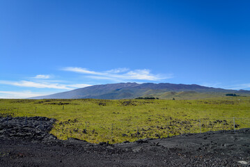 ハワイのハワイ島マウナケア山を望む